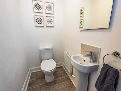 Picture 7
